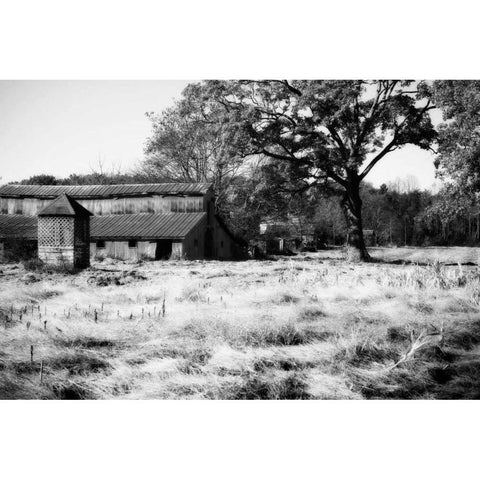 Fallow Fields II White Modern Wood Framed Art Print by Hausenflock, Alan