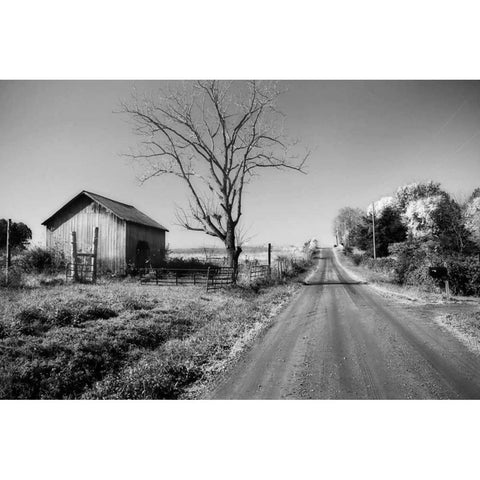 Rural Route VI32 I Black Modern Wood Framed Art Print with Double Matting by Hausenflock, Alan