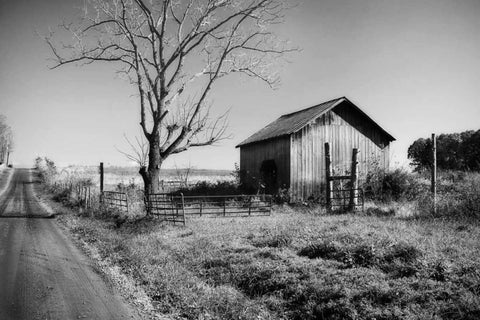 Rural Route VI32 II White Modern Wood Framed Art Print with Double Matting by Hausenflock, Alan