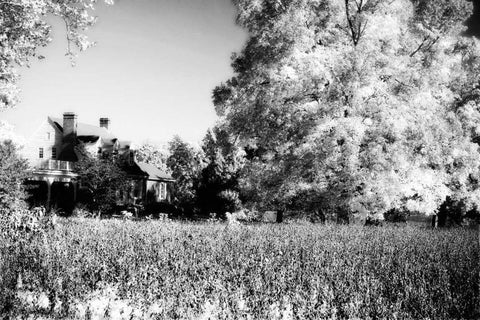 Rural Route III3 II White Modern Wood Framed Art Print with Double Matting by Hausenflock, Alan