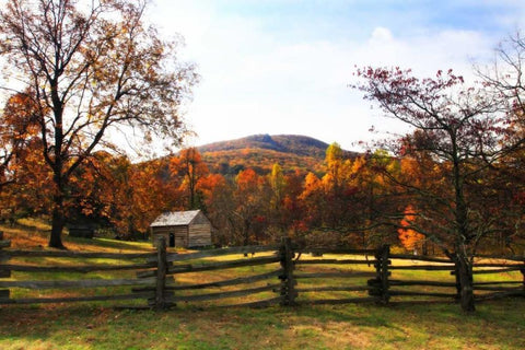 Homestead I Black Ornate Wood Framed Art Print with Double Matting by Hausenflock, Alan