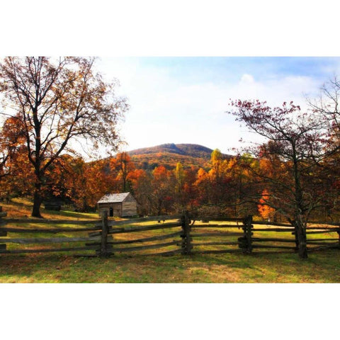 Homestead I Black Modern Wood Framed Art Print by Hausenflock, Alan