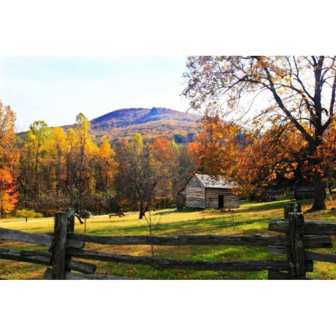 Homestead II Gold Ornate Wood Framed Art Print with Double Matting by Hausenflock, Alan