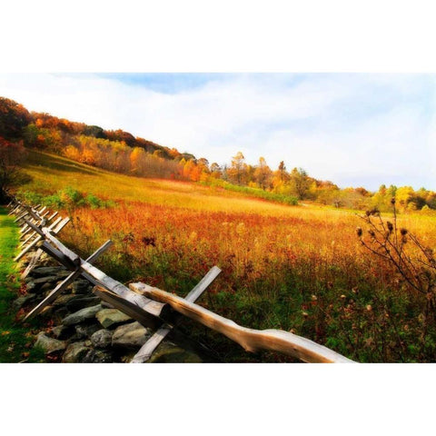 Fire Ridge I Gold Ornate Wood Framed Art Print with Double Matting by Hausenflock, Alan