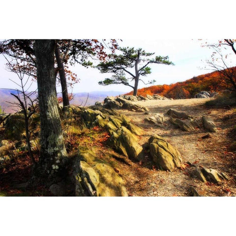 Stoney Ridge II Gold Ornate Wood Framed Art Print with Double Matting by Hausenflock, Alan