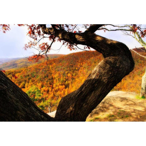 Wildcat Ridge I Black Modern Wood Framed Art Print with Double Matting by Hausenflock, Alan