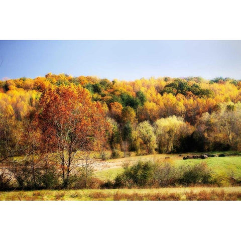 Sperryville Fields I Gold Ornate Wood Framed Art Print with Double Matting by Hausenflock, Alan