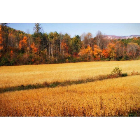 Sperryville Fields III Black Modern Wood Framed Art Print by Hausenflock, Alan