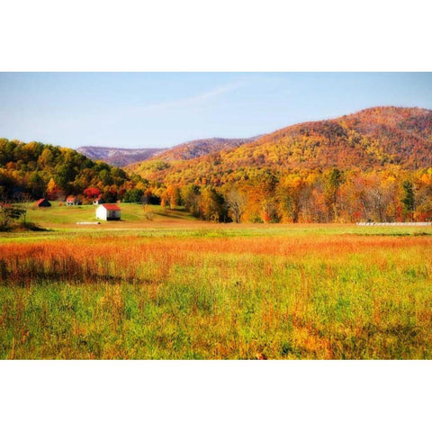 Autumn Fields I White Modern Wood Framed Art Print by Hausenflock, Alan