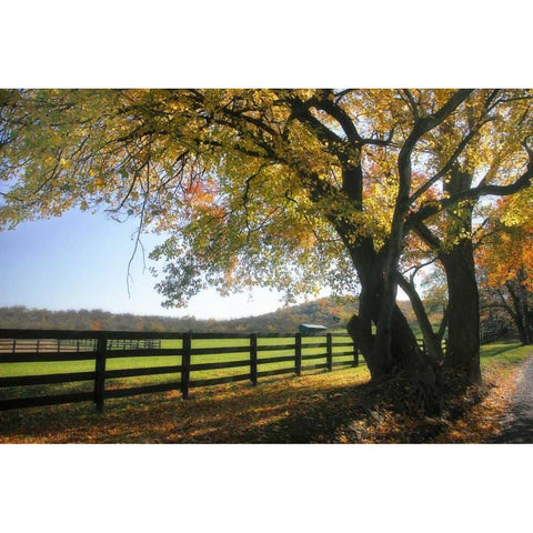 Hillside Farm I Gold Ornate Wood Framed Art Print with Double Matting by Hausenflock, Alan