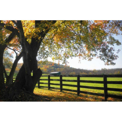 Hillside Farm II Black Modern Wood Framed Art Print by Hausenflock, Alan