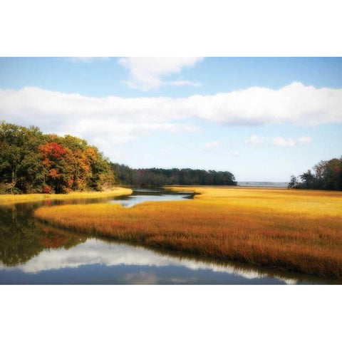 Kings Creek II Black Modern Wood Framed Art Print with Double Matting by Hausenflock, Alan