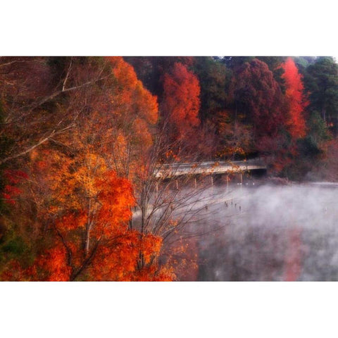 Cold Autumn Morning I Black Modern Wood Framed Art Print with Double Matting by Hausenflock, Alan