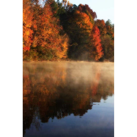 Autumn Mist I Black Modern Wood Framed Art Print with Double Matting by Hausenflock, Alan