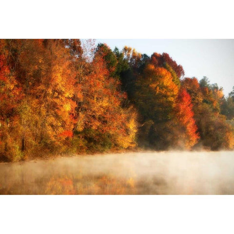 Autumn Mist III Black Modern Wood Framed Art Print by Hausenflock, Alan