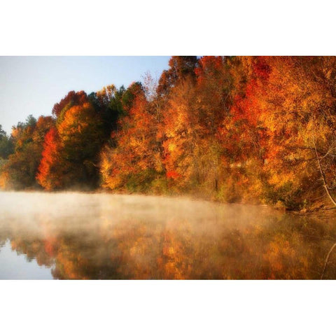 Autumn Mist IV Black Modern Wood Framed Art Print with Double Matting by Hausenflock, Alan