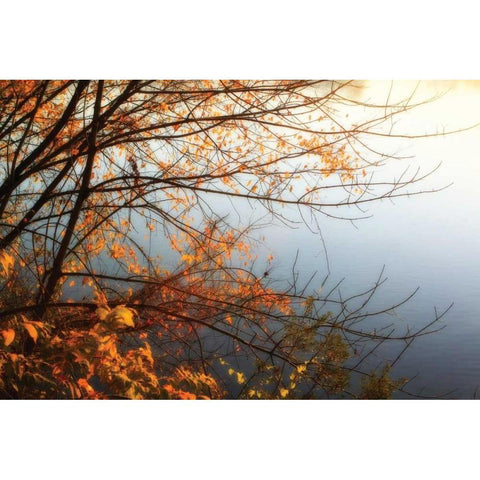 Leaves of Orange I Gold Ornate Wood Framed Art Print with Double Matting by Hausenflock, Alan