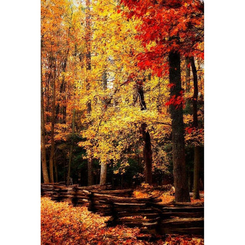 Split Rail Fence II White Modern Wood Framed Art Print by Hausenflock, Alan