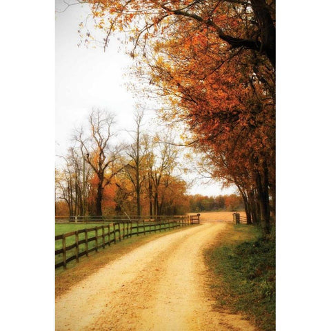 Gray Skies I White Modern Wood Framed Art Print by Hausenflock, Alan