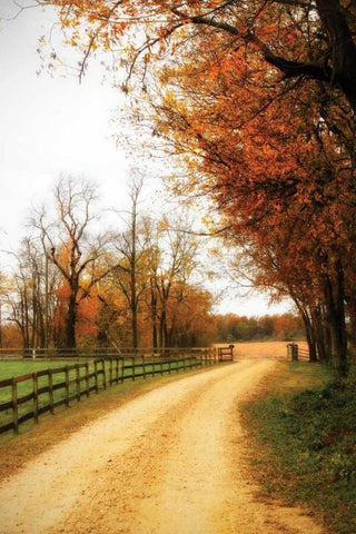 Gray Skies I White Modern Wood Framed Art Print with Double Matting by Hausenflock, Alan