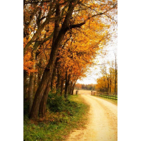 Gray Skies II White Modern Wood Framed Art Print by Hausenflock, Alan