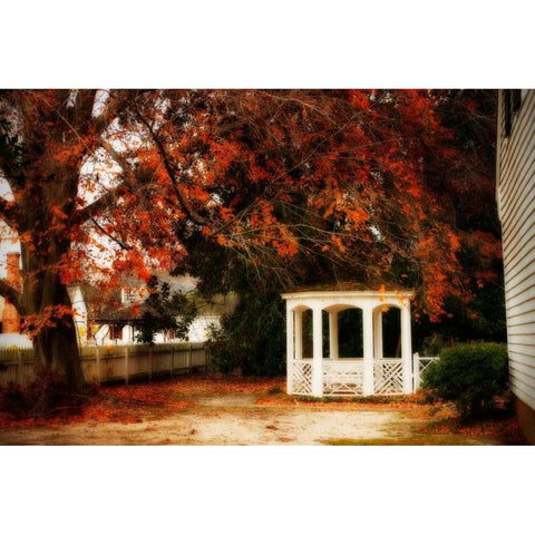 Summers Ending I White Modern Wood Framed Art Print by Hausenflock, Alan