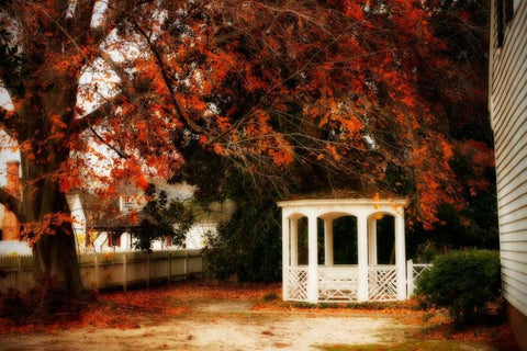 Summers Ending I White Modern Wood Framed Art Print with Double Matting by Hausenflock, Alan