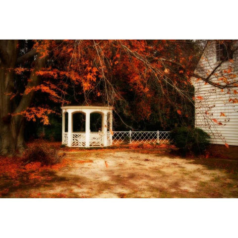 Summers Ending II Black Modern Wood Framed Art Print by Hausenflock, Alan