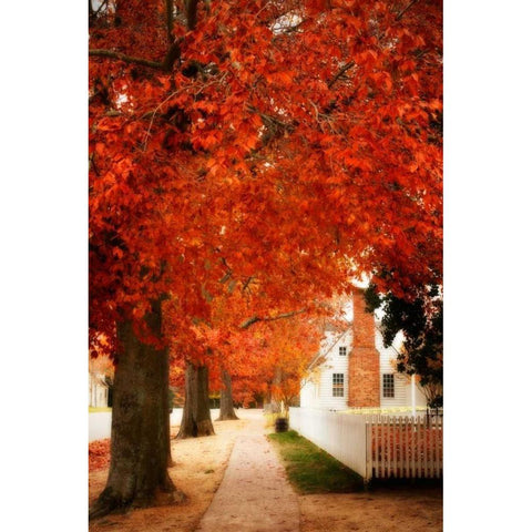 Small Town Autumn I White Modern Wood Framed Art Print by Hausenflock, Alan