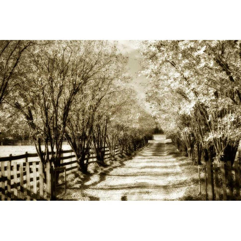 Glen Allen Farm I Black Modern Wood Framed Art Print with Double Matting by Hausenflock, Alan