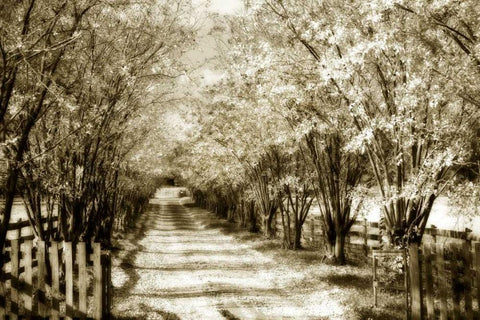 Glen Allen Farm II Black Ornate Wood Framed Art Print with Double Matting by Hausenflock, Alan