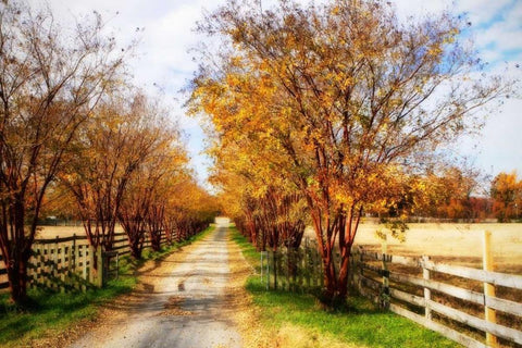 Glen Allen Farm III White Modern Wood Framed Art Print with Double Matting by Hausenflock, Alan