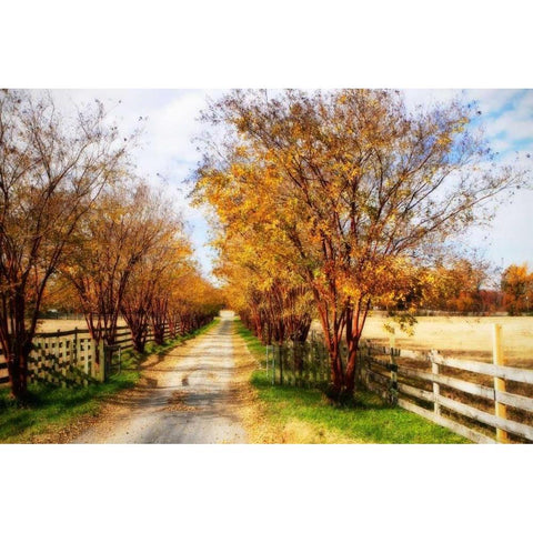 Glen Allen Farm III White Modern Wood Framed Art Print by Hausenflock, Alan