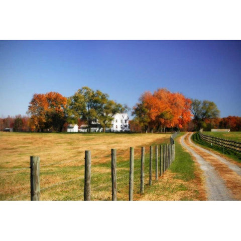 Family Farm II Black Modern Wood Framed Art Print by Hausenflock, Alan