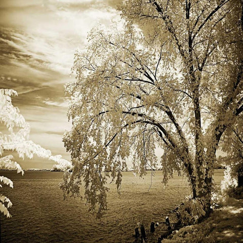 Hopewell Shores II White Modern Wood Framed Art Print with Double Matting by Hausenflock, Alan