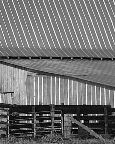 Big Barn II Black Ornate Wood Framed Art Print with Double Matting by Larson, Scott