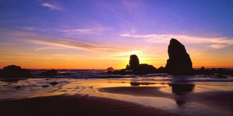Cannon Beach IV Black Ornate Wood Framed Art Print with Double Matting by Leahy, Ike