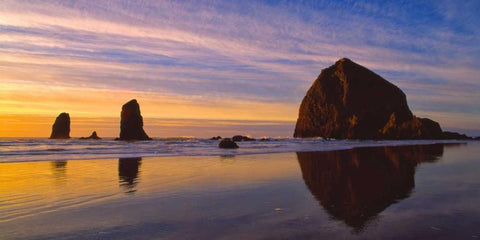 Cannon Beach V Black Ornate Wood Framed Art Print with Double Matting by Leahy, Ike