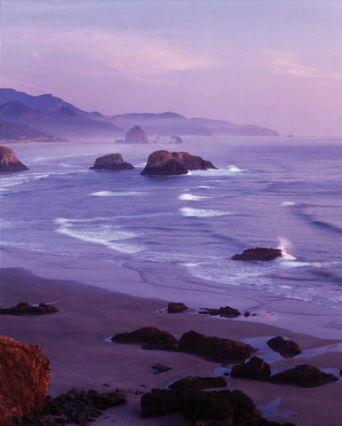 Ecola State Park I Black Ornate Wood Framed Art Print with Double Matting by Leahy, Ike