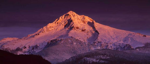 Mt. Hood XV Black Ornate Wood Framed Art Print with Double Matting by Leahy, Ike
