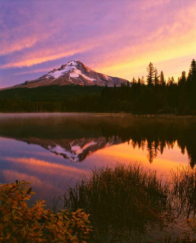 Mt. Hood XVI Black Ornate Wood Framed Art Print with Double Matting by Leahy, Ike