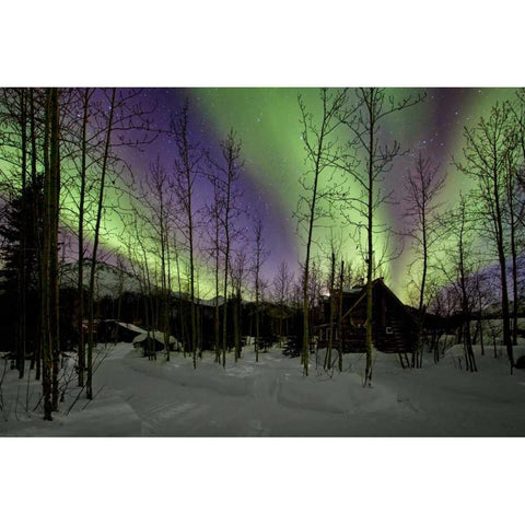 Aurora Borealis XII Gold Ornate Wood Framed Art Print with Double Matting by Malvin, Larry