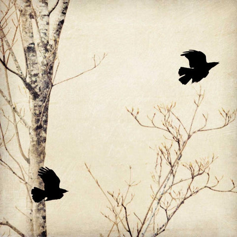 In Flight I Black Ornate Wood Framed Art Print with Double Matting by Melious, Amy