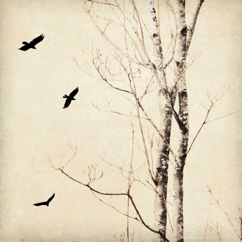 In Flight II Gold Ornate Wood Framed Art Print with Double Matting by Melious, Amy