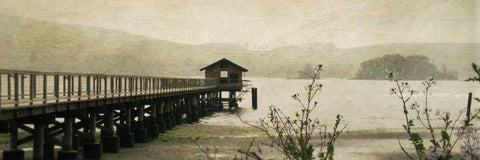 Marshall I White Modern Wood Framed Art Print with Double Matting by Melious, Amy