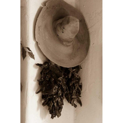 Old Hat and Ristras Black Modern Wood Framed Art Print with Double Matting by Mahan, Kathy