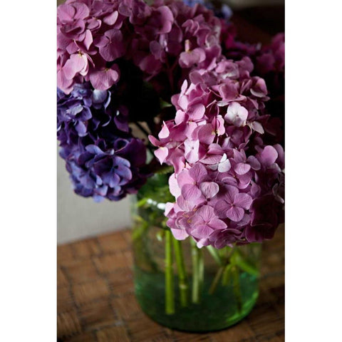 Hydrangeas VI Black Modern Wood Framed Art Print by Millet, Karyn