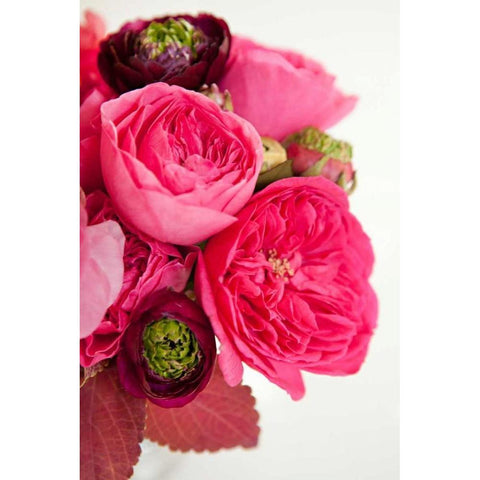 Peony Bouquet II Gold Ornate Wood Framed Art Print with Double Matting by Millet, Karyn