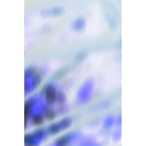 Color Drops I White Modern Wood Framed Art Print by Millet, Karyn