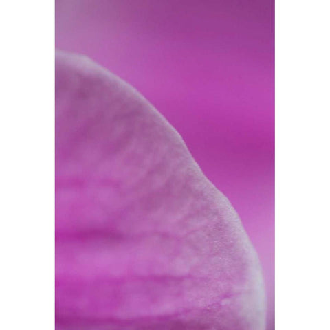Purple I Black Modern Wood Framed Art Print with Double Matting by Millet, Karyn